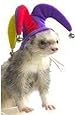 Marshall Ferret Cap, Jester
