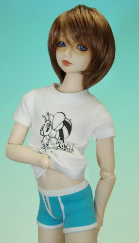 ビジュアドール 藤井 亮 50個限定