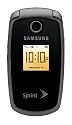 Samsung M300 Silver Phone (Sprint)