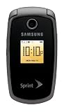 Samsung M300 Silver Phone (Sprint)