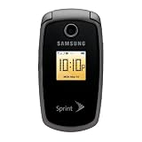 Samsung M300 Silver Phone (Sprint)