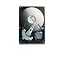 BUILD A CUSTOM PC (LATE 2008)
