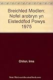 Breichled Modlen : nofel arobryn yn Eisteddfod Powys 1975
