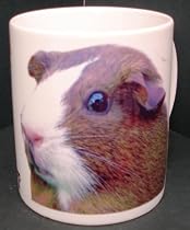 GUINEA PIG MUG