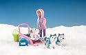 Animal Hopsital On Locations - Polar  - Husky Rescue
