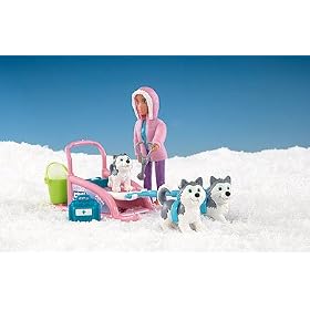 Animal Hopsital On Locations - Polar  - Husky Rescue