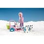 Animal Hopsital On Locations - Polar  - Husky Rescue