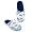 North Carolina Tar Heels