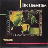 Human Fly