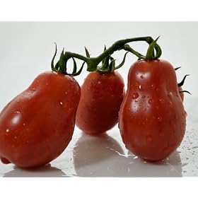 Tomato Bush Italian Roma Organic Seed