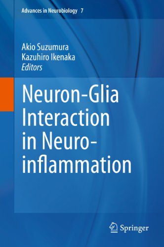 Neuron-Glia Interaction in Neuroinflammation: 7 (Advances in Neurobiology)