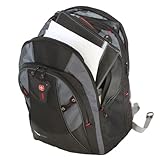 Swiss Gear MYTHOS Computer Backpack (Blue)