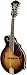 Fender FM-63S Mandolin, Sunburst