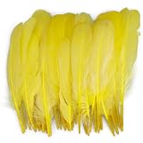 50pcs Home Decor Yellow Duck Feather