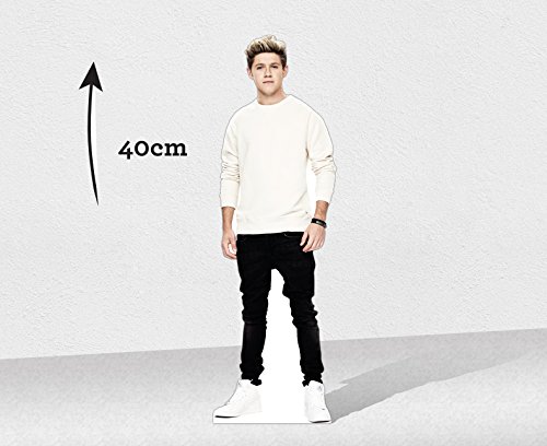 One Direction Niall Desktop Standee NEW 2014