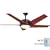 Casablanca Fans 3232T 53" Stealth Weathered Copper Ceiling Fan w/ Light, Wall Ctrl & B32-DC Blades