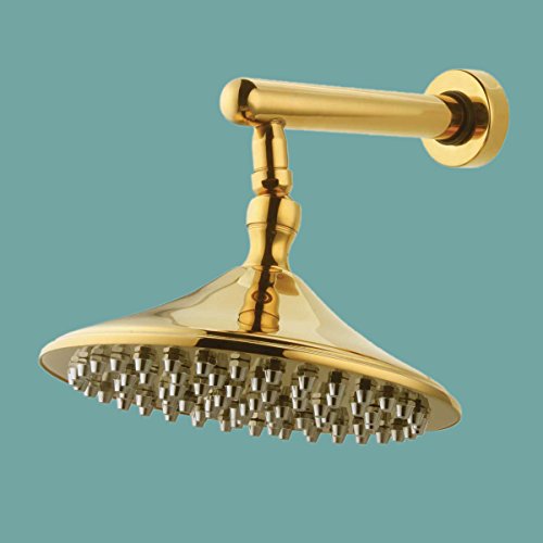 Shower Head Gold PVD Brass PVD 9 Raised Jef Head Renovators Supply