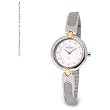 Skagen Women's Watch 354SGSC