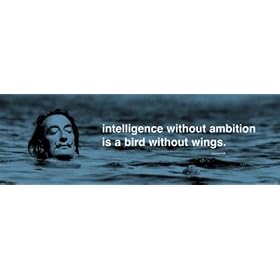 Salvador Dali Swimming Motivational Poster 12 x 36 inches