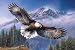 Eagle Anthem 1000 pc