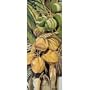 (8x20) Penny Gupton (Bamboo) Art Poster Print