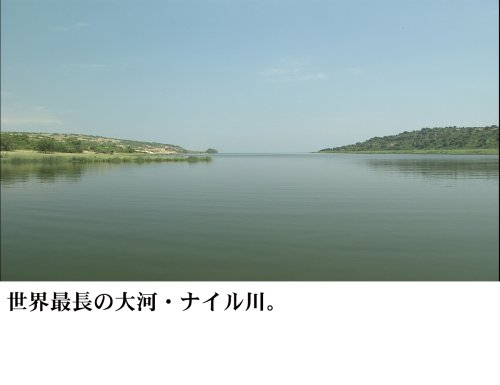 世界の大河 World River Cruising~河から見る世界遺産、秘境、壮大な大自然の数々~ [DVD]