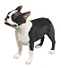 boston terrier - Sandicast Original Size Boston Terrier Dog Figurine
