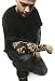 Black Dragon Temporary Tattoo Sleeves
