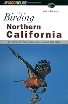 Birding Northern California