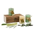 Wellness-Set Life in Harmony