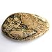 Palm Pocket WORRY STONE Tumbled Flat PICTURE JASPER