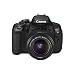 Beach Camera at Buy.com: 18% back in Rakuten Points (Today only)
