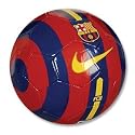 2010 Barcelona Miniball