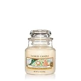 Small yankee candle christmas cookie (609032060794)