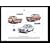 Sporting Ford Escort Mk1 RS - RS2000 Mexico RS1600 - Art Print