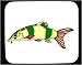Mouse Pad with aquatic, catfish, animal, fish Image