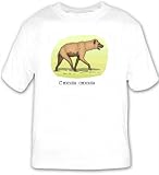 T-shirt with africa, spotted, hyena, crocuta, animal, dog