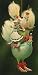 Krinkles 12 Days Of Christmas Three French Hens Ornament