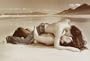 Passion Poster Print, 36x24 Poster Print, 36x24