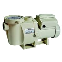 Pentair 011013 IntelliFlo VS 3050 High-Performance Pool Pump