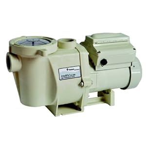 Pentair 011013 IntelliFlo VS 3050 High-Performance Pool Pump