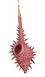 7" Coral Glittered Sea Shell Christmas Ornament