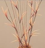 Claw Flowers 36" Tall, Pack of 5 - Copper