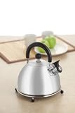Whistling Tea Kettle by Kennedy Home Collections