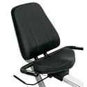 LifeSpan Fitness R2 Recumbent Bike