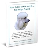 Poodle lover or trainer, this book has something for everyone {training& care]