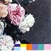 Top New Order/Joy Division albums