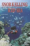 Snorkelling in the Red Sea