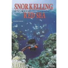 Snorkelling in the Red Sea