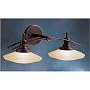 Structures Bronze 22" Wide Bathroom Light Fixture